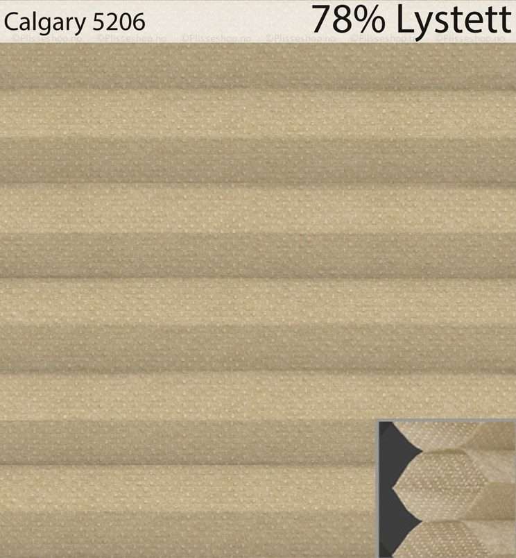 Calgary-5206