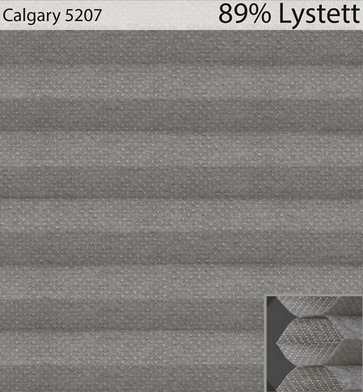 Calgary-5207