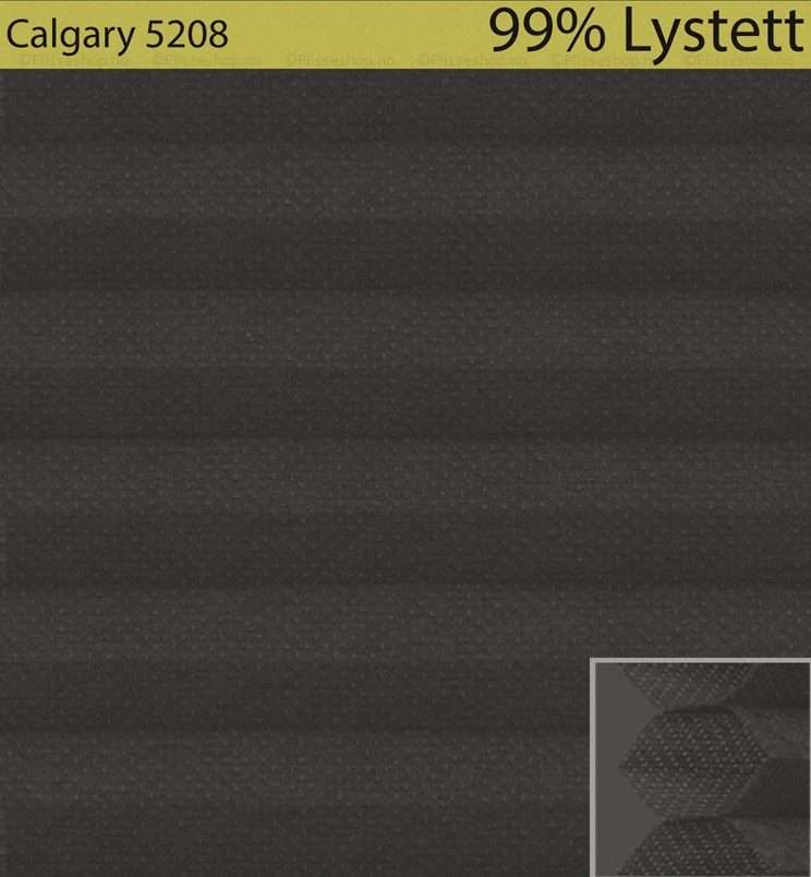 Calgary-5208