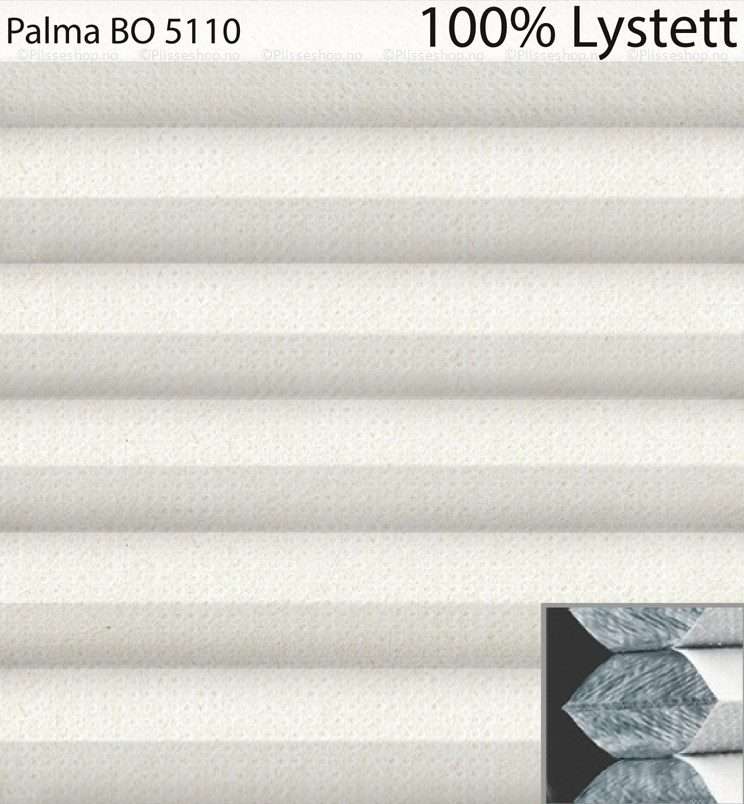 Palma-BO-5110